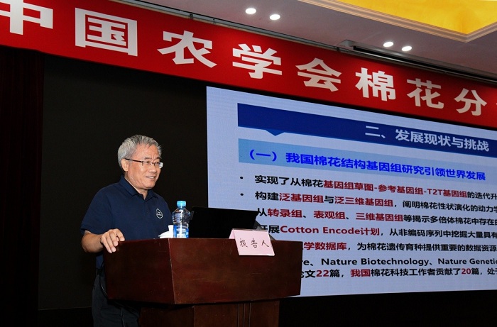 棉花分會(huì)圖片3.jpg