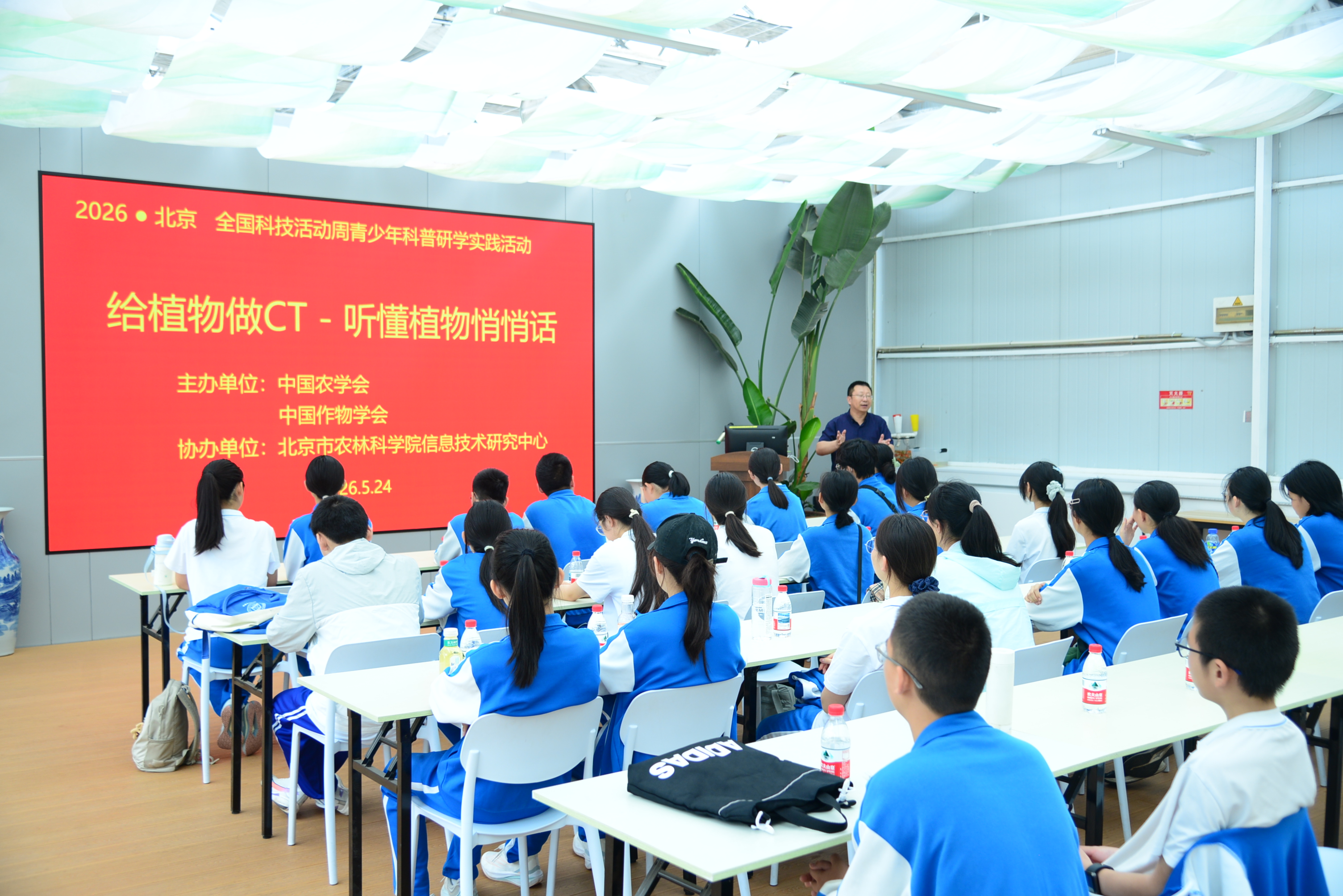 植物CT1.jpg